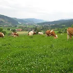 Faissbauernhof Apartamento