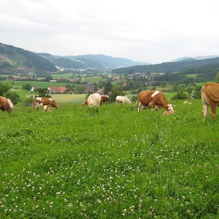 Faissbauernhof Apartment