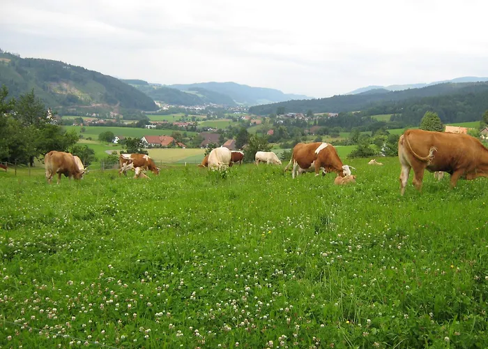 Faißbauernhof Lejlighed